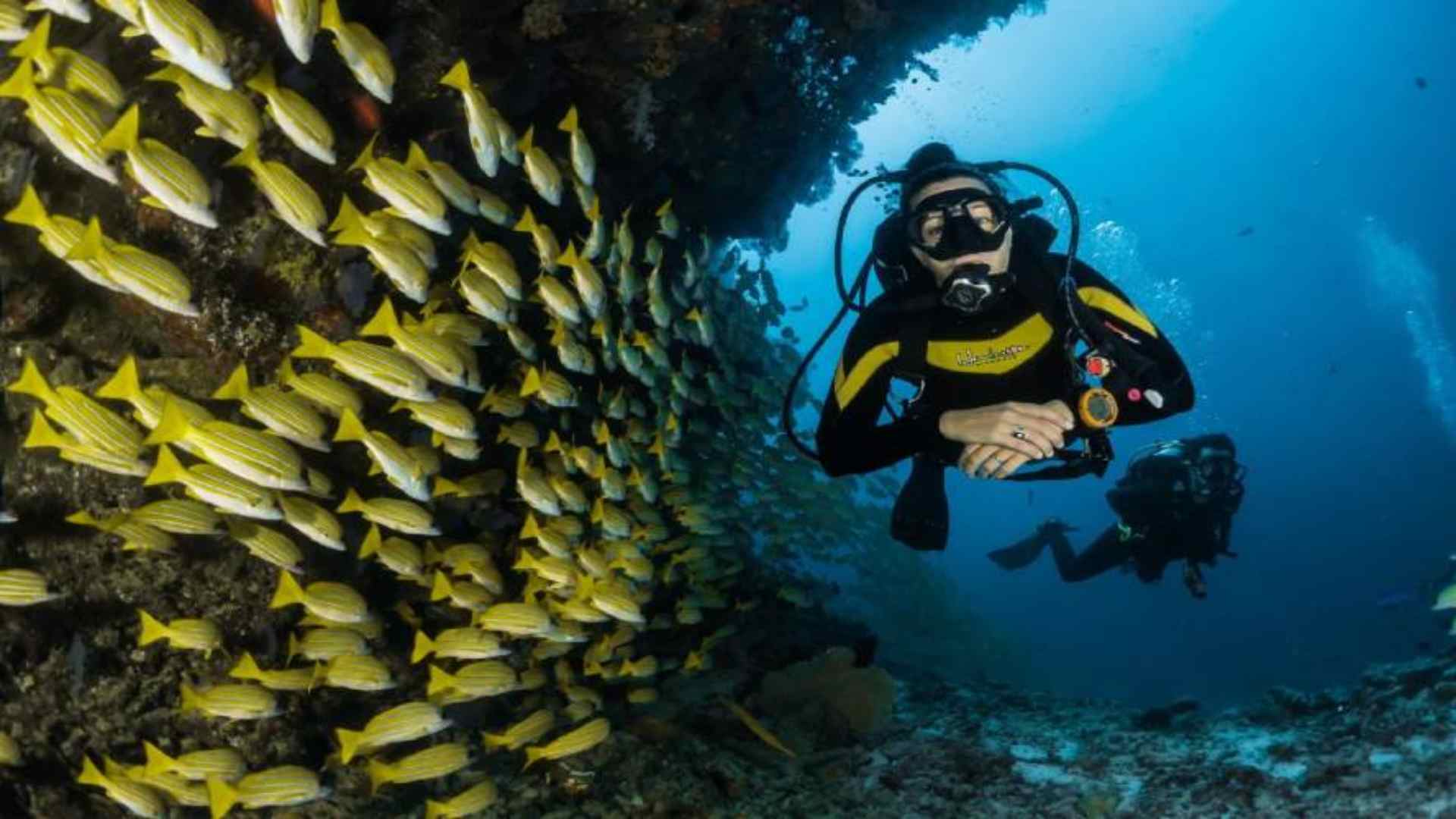 Andaman Scuba Special